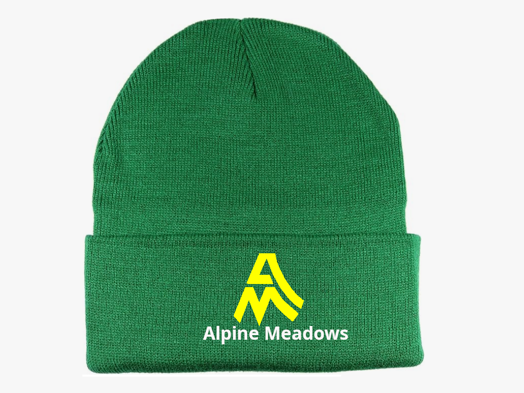 Alpine Meadows Beanie (Light Green)